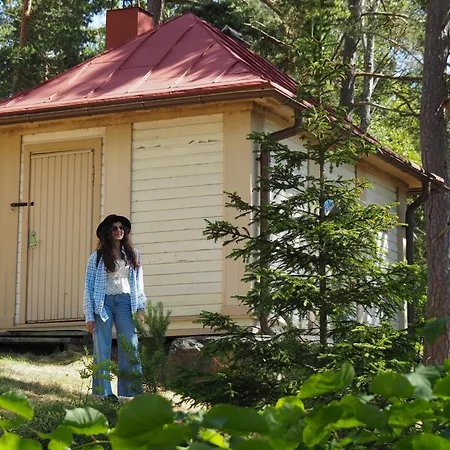 Kivisaari Resort *