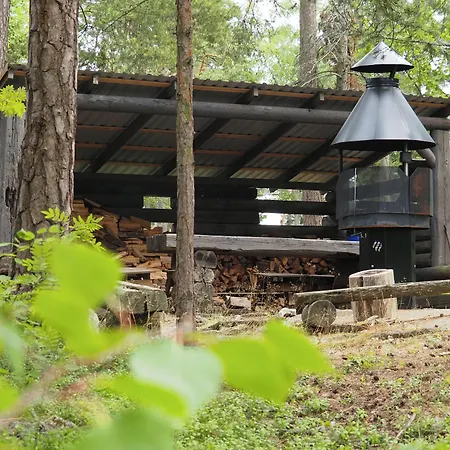 Kivisaari هلسنكي