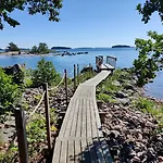 Kivisaari